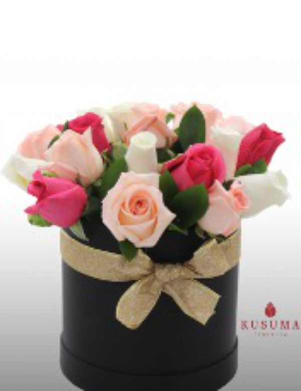 R19 Box Rosas