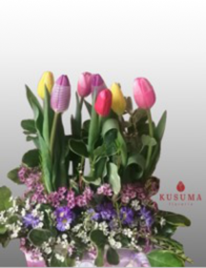 T3 Cofre con tulipanes