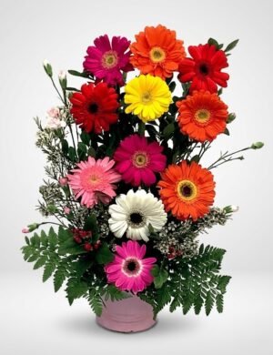 GER 2 Gerbera Primaveral