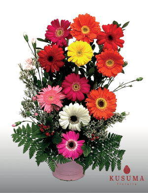 GER 2 Gerbera Primaveral
