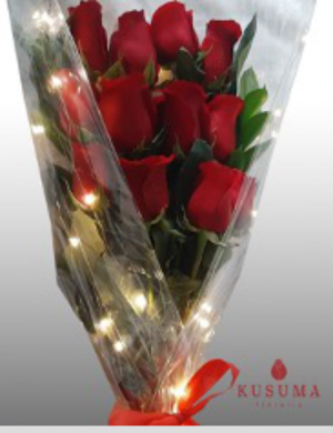R26 Rosas y luces
