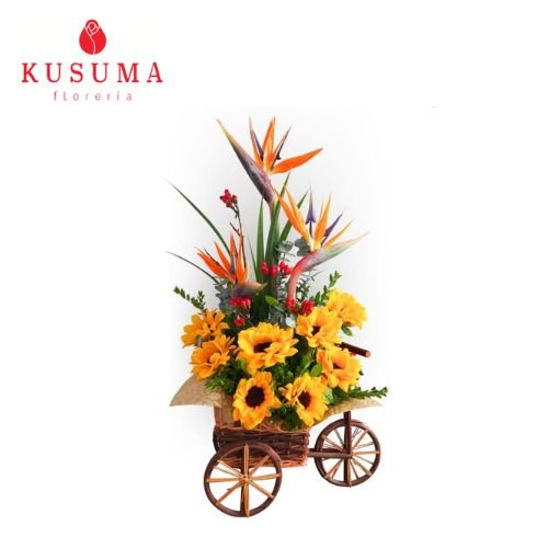 GIR 10 Carreta Maravillosa