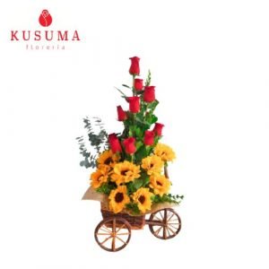 GIR 13 Carreta del Sol