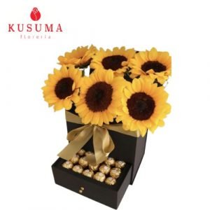 GIR 15 Box Rocher Maravilla