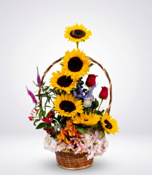 GIR 11 Basket Girasoles