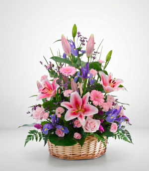 R87- Basket Primavera