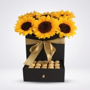 GIR 15 Box Rocher Maravilla