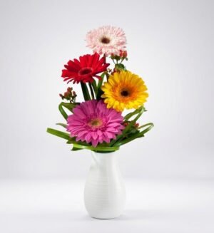 GER 6 Florero Gerbera CH