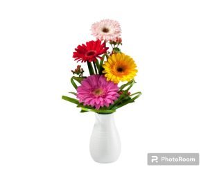 GER 6 Florero Gerbera CH