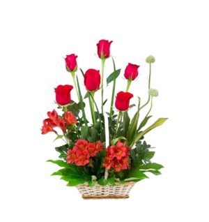 R126 - CANASTA ETERNA