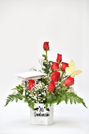 R306 - BOX GRADUACIÓN