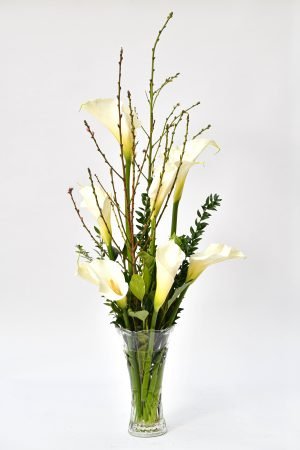 C200 - ARREGLO ALCATRAZ