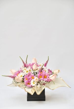 R319 - BOX EXPLOSIÓN