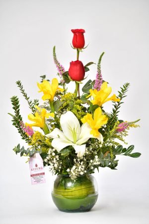 R324 - ARREGLO SPRING