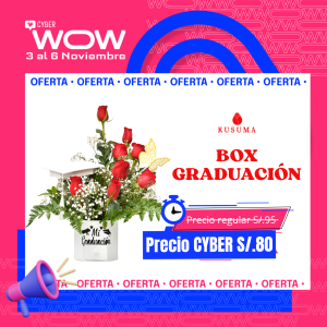 R306 - BOX GRADUACIÓN