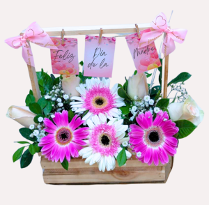 R441 CANASTA GERVERA