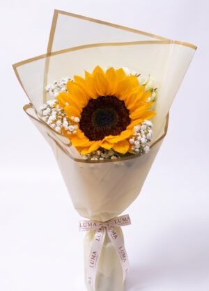 G34 – RAMO SUN